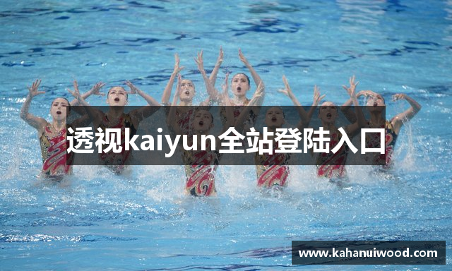 透视kaiyun全站登陆入口